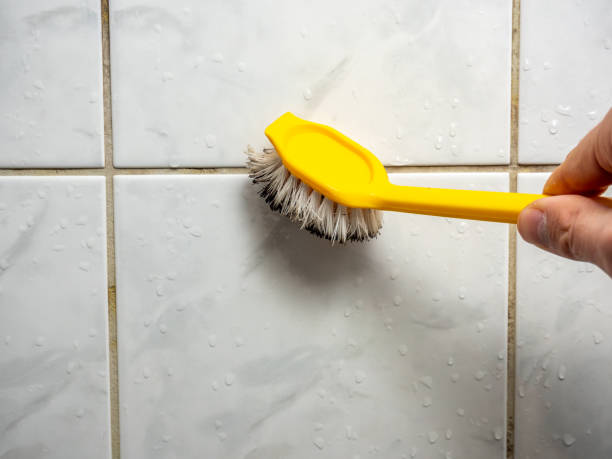 Best Home Mold Removal  in Bridgeport, PA