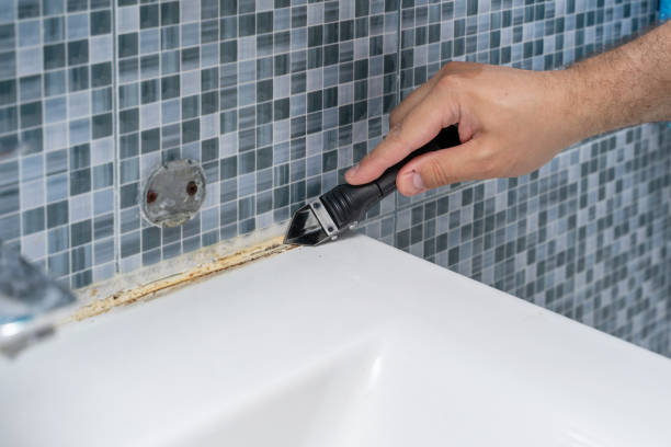 Certified Mold Removal in Bridgeport, PA